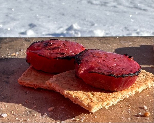 salami and pretzel grilled on the gas stove